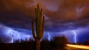10 things to know about monsoon season before stuff starts getting real ⛈
